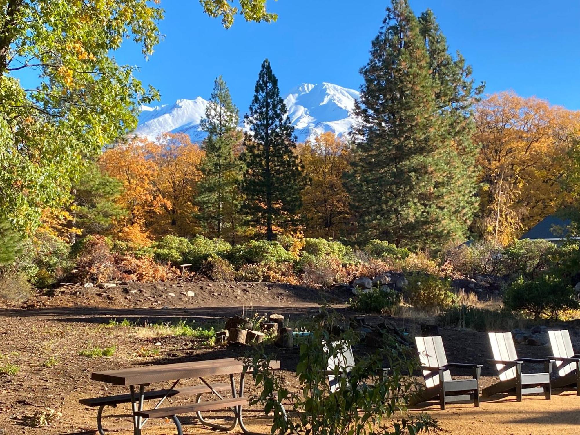 Basecamp Lodge Mount Shasta Exterior foto